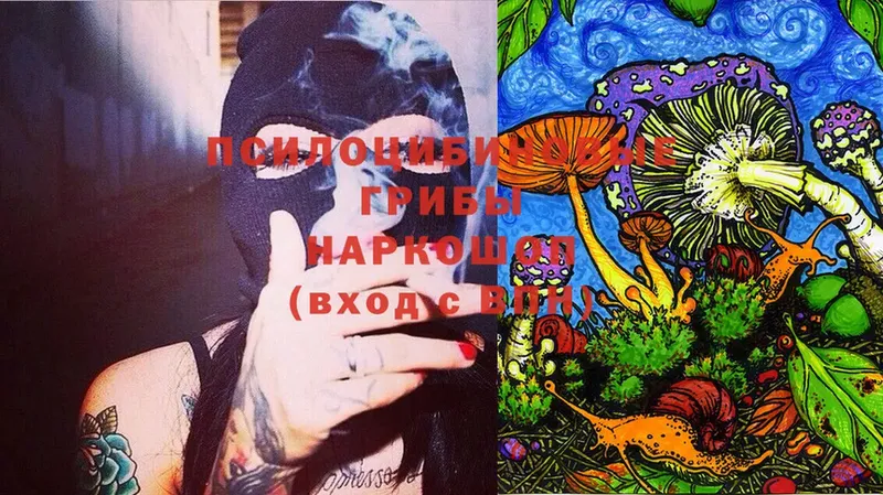 Псилоцибиновые грибы Magic Shrooms  Истра 